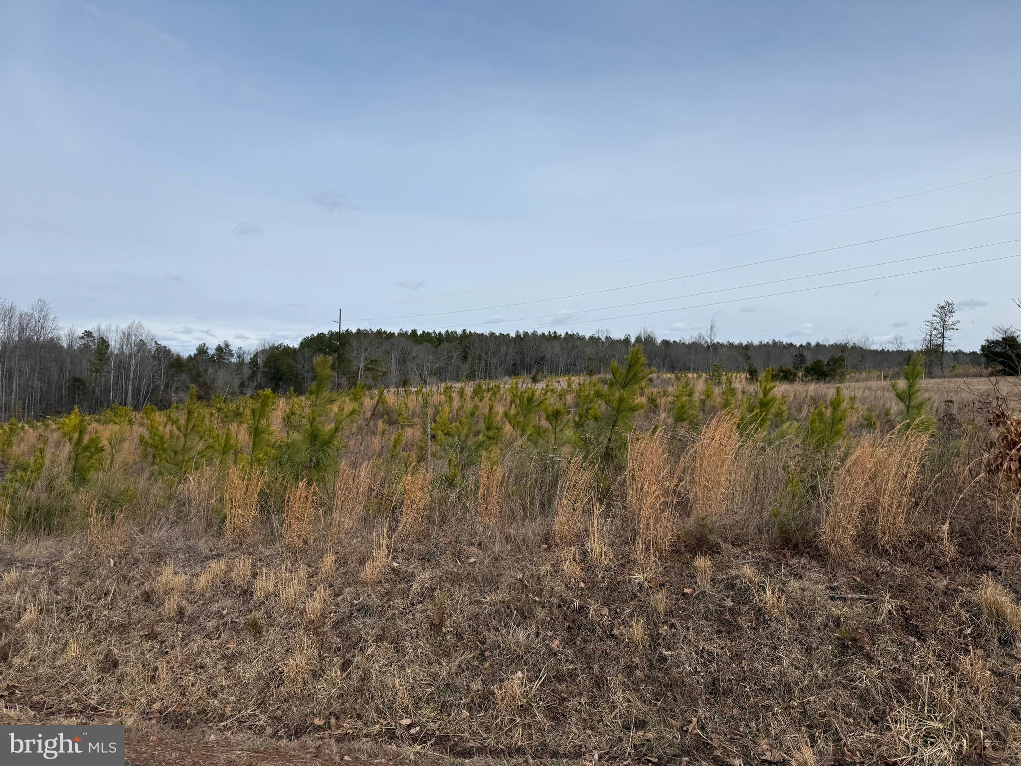 Tbd Community House Road Kents Store, VA 23084 - Photo 29 of 34