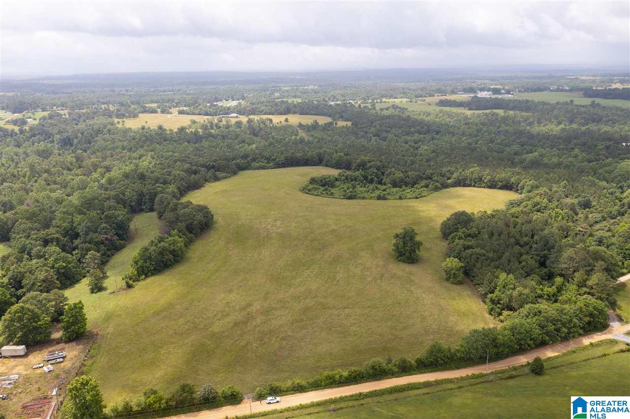 0 County Road 368 Verbena, AL 36091 - Photo 1 of 13