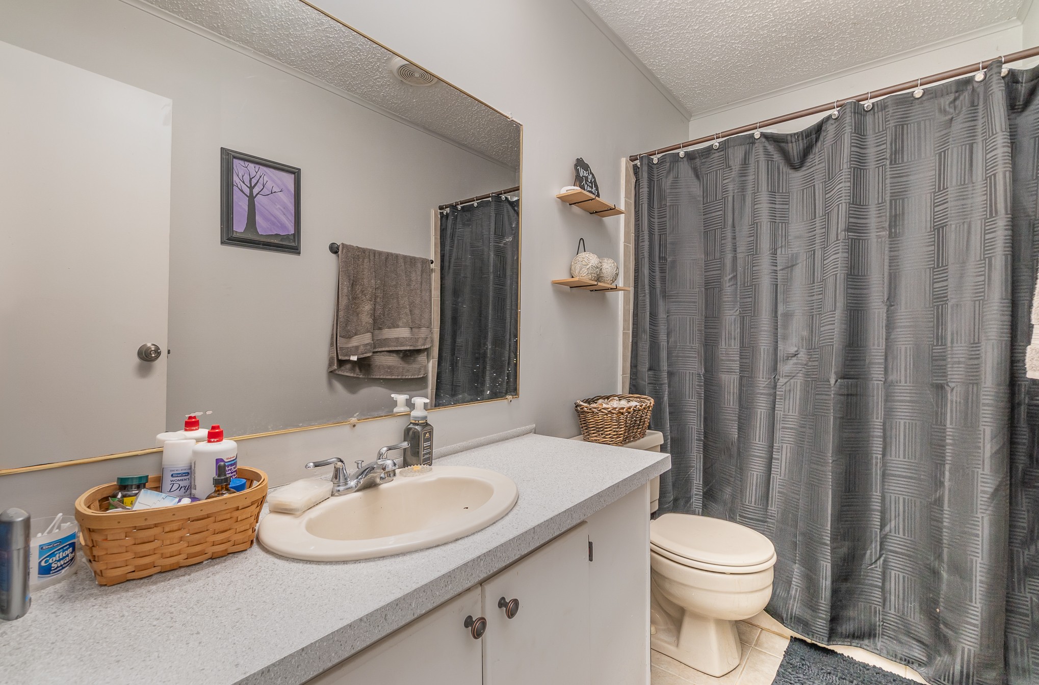 7801 Bob Carr Road Cross Plains, TN 37049 - Photo 28 of 38 a bathroom with a sink toilet and shower