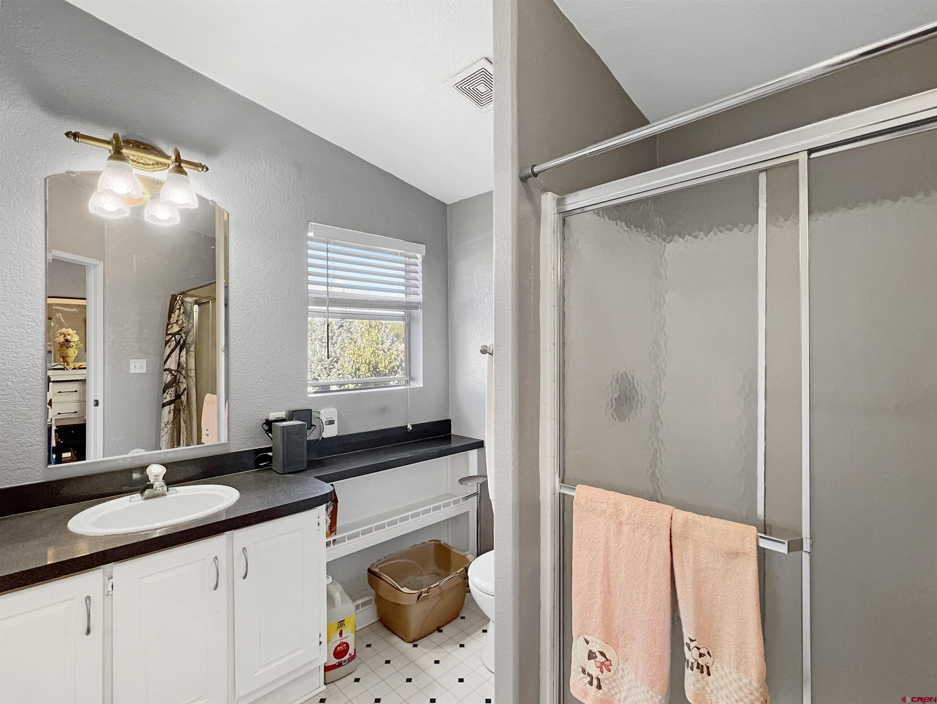 635 Fox Court Delta, CO 81416 - Photo 13 of 22 a bathroom with a granite countertop sink a mirror and a shower