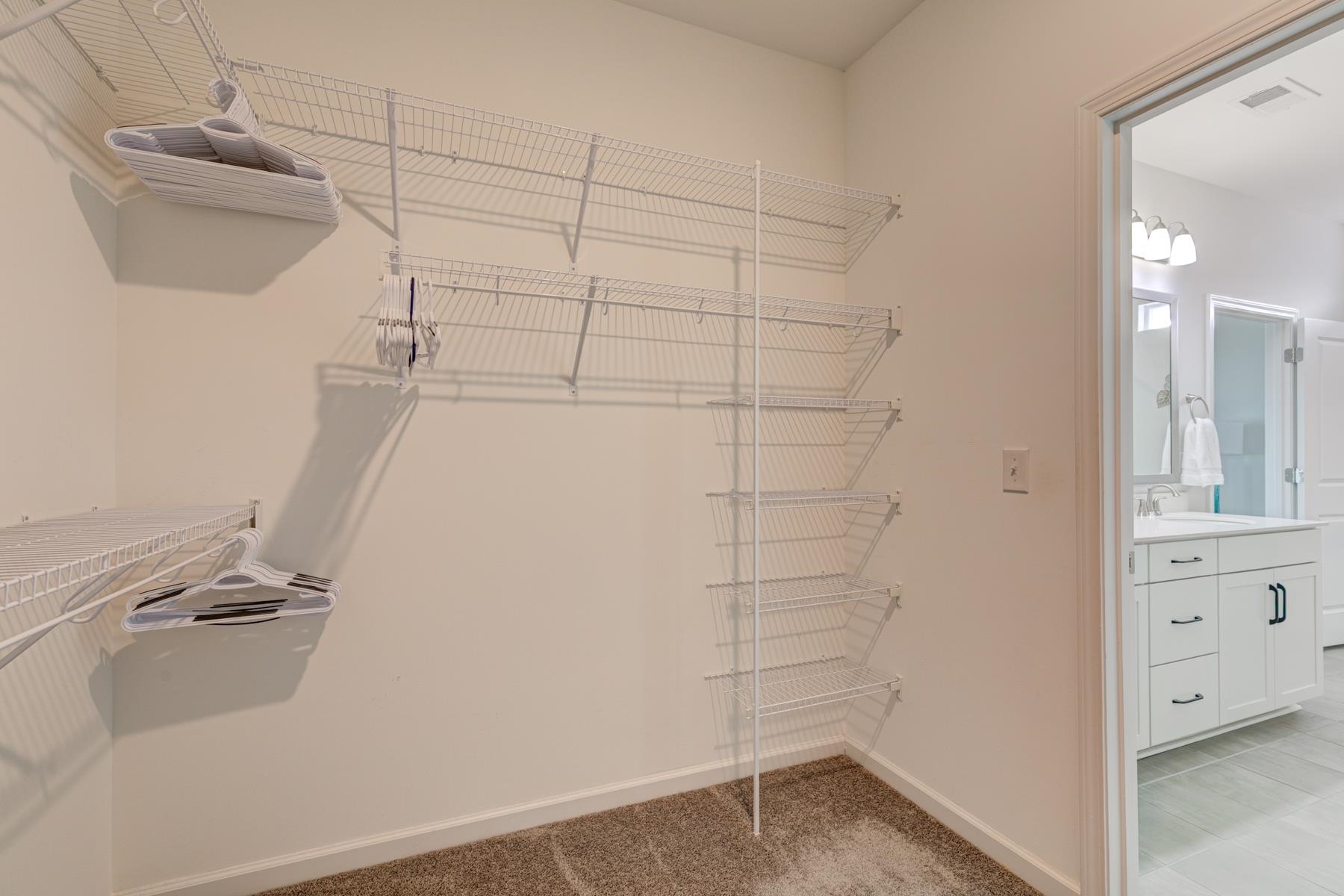 417 Heathside Street Murrells Inlet, SC 29576 - Photo 25 of 40 Walk in closet with light colored carpet and a sink