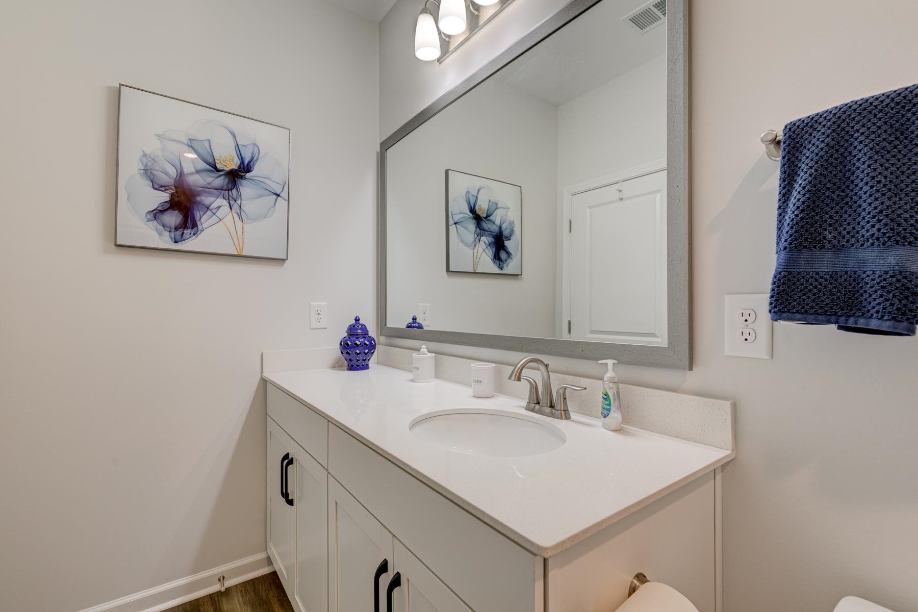 417 Heathside Street Murrells Inlet, SC 29576 - Photo 29 of 40 Bathroom featuring vanity and dark wood-style flooring