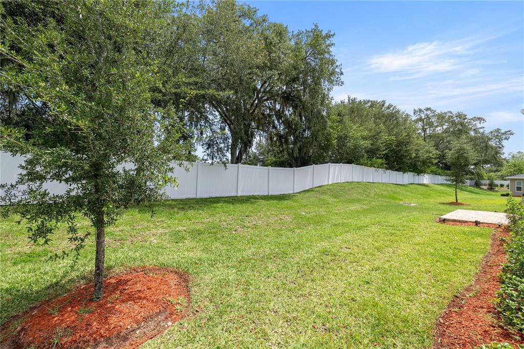 10367 Addison Shore Way Oxford, FL 34484 - Photo 37 of 52