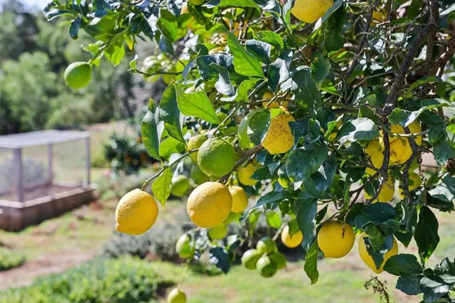 $1,450,000 | 1761 Winterwarm Drive, Fallbrook, CA 92028