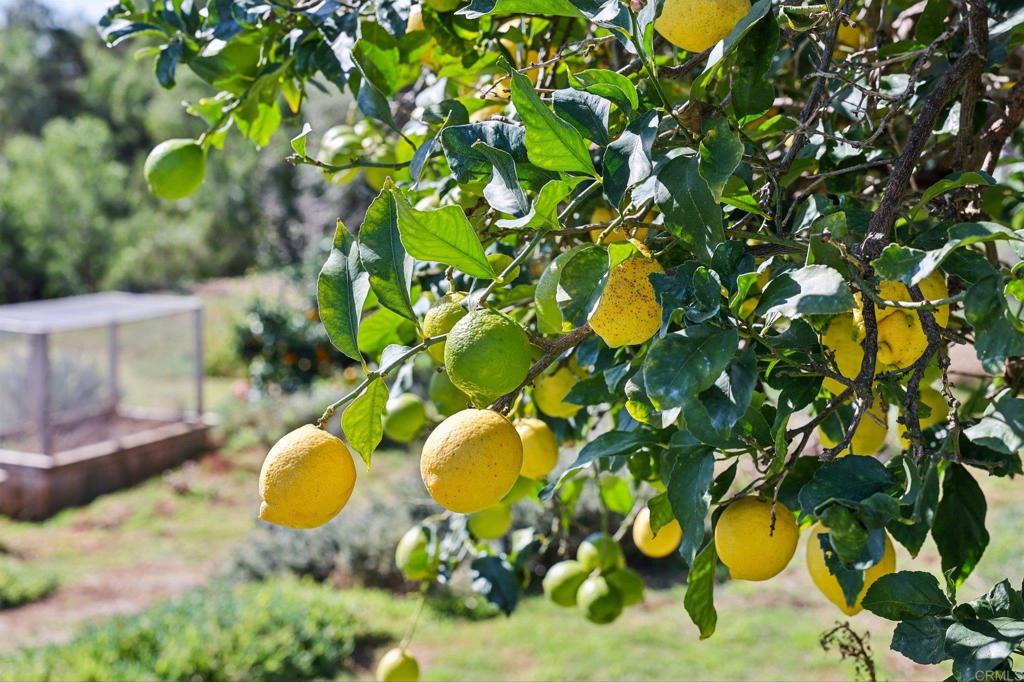 1761 Winterwarm Drive Fallbrook, CA 92028 - Photo 43 of 73