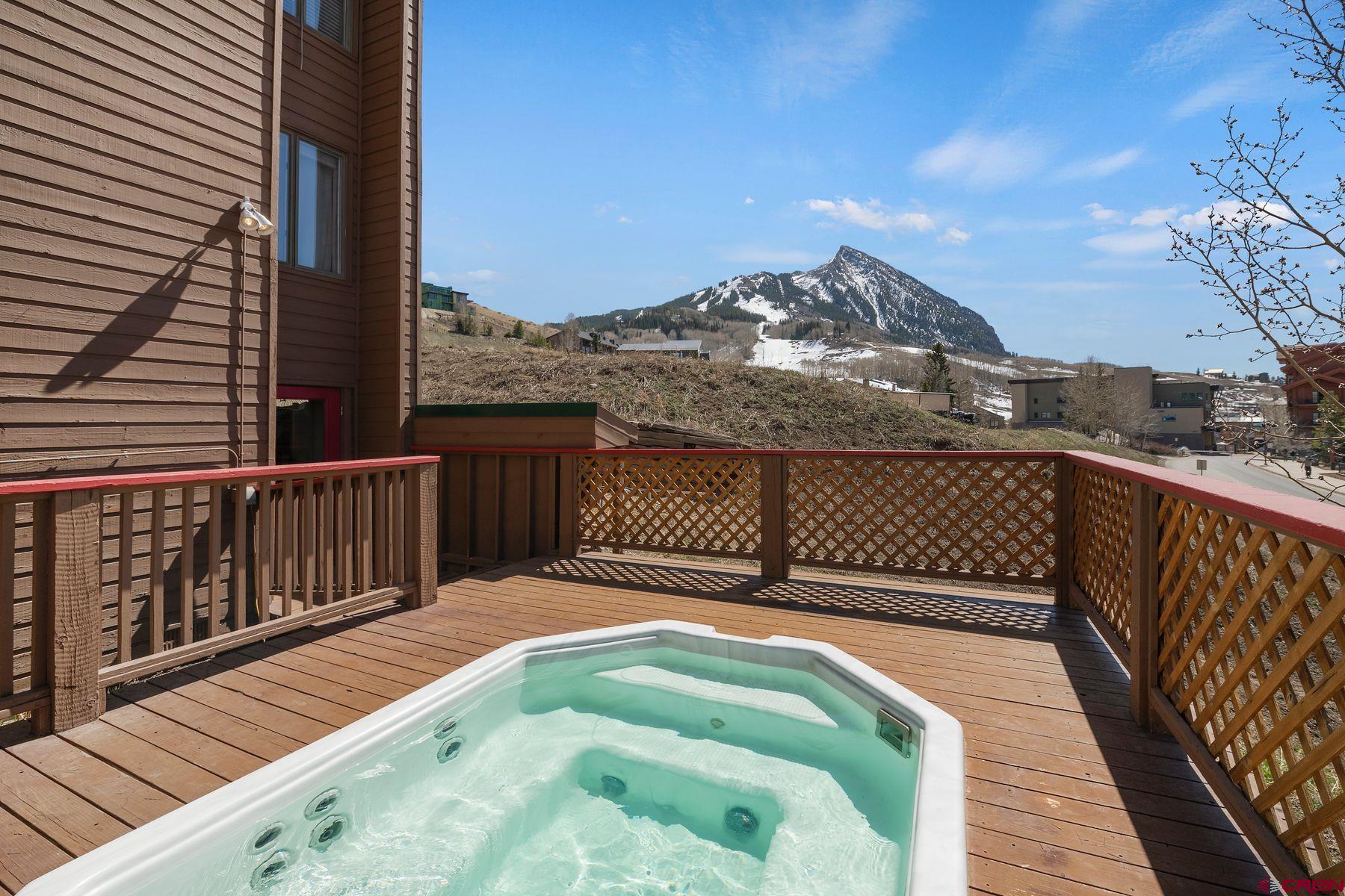 25 Emmons Road, Unit 44 Crested Butte, CO 81225 - Photo 24 of 25