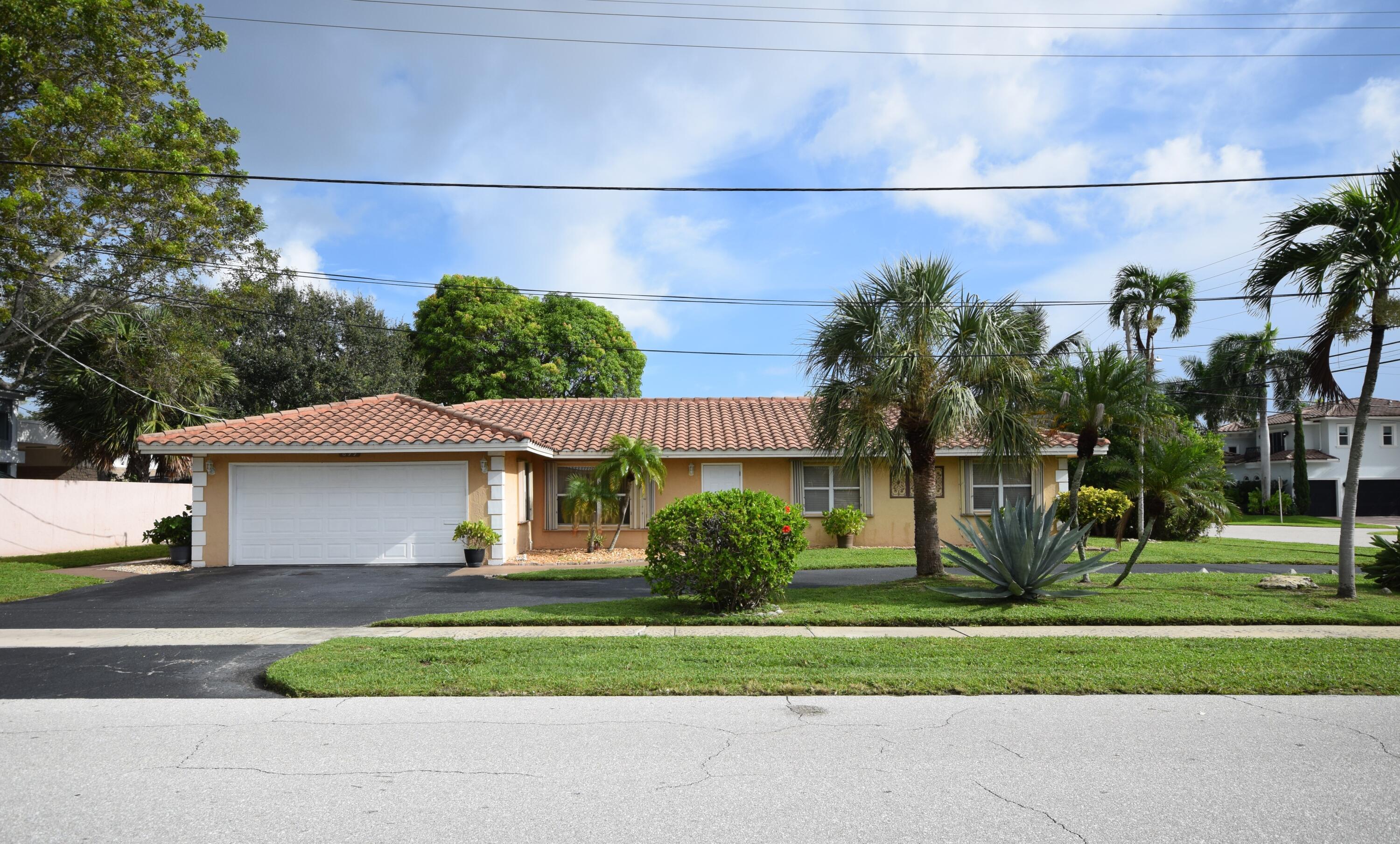 DSC_6246