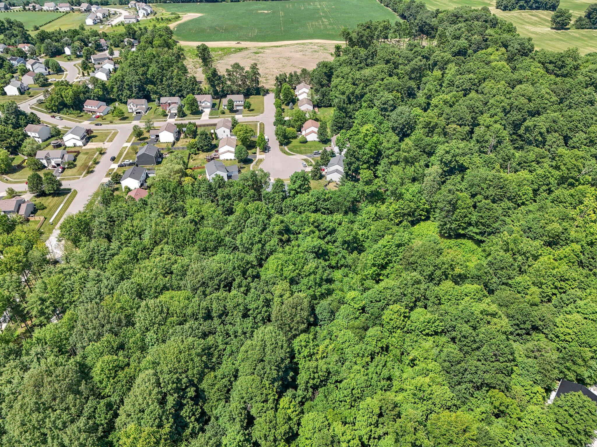1040 Citation Road Southwest Pataskala, OH 43062 - Photo 10 of 16 Aerial View