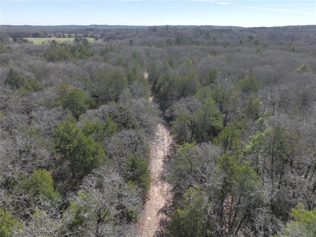 154 Quitman Tx 75783 Quitman, TX 75783 - Photo 18 of 33 a view of a forest with trees in the background