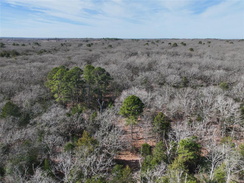 154 Quitman Tx 75783 Quitman, TX 75783 - Photo 19 of 33 a view of a dry field