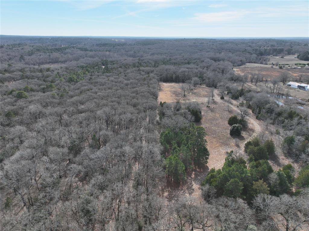 154 Quitman Tx 75783 Quitman, TX 75783 - Photo 24 of 33 an aerial view of house with yard and mountain view