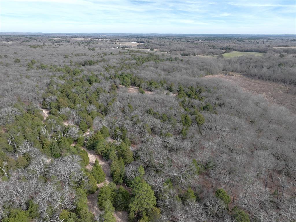 154 Quitman Tx 75783 Quitman, TX 75783 - Photo 25 of 33