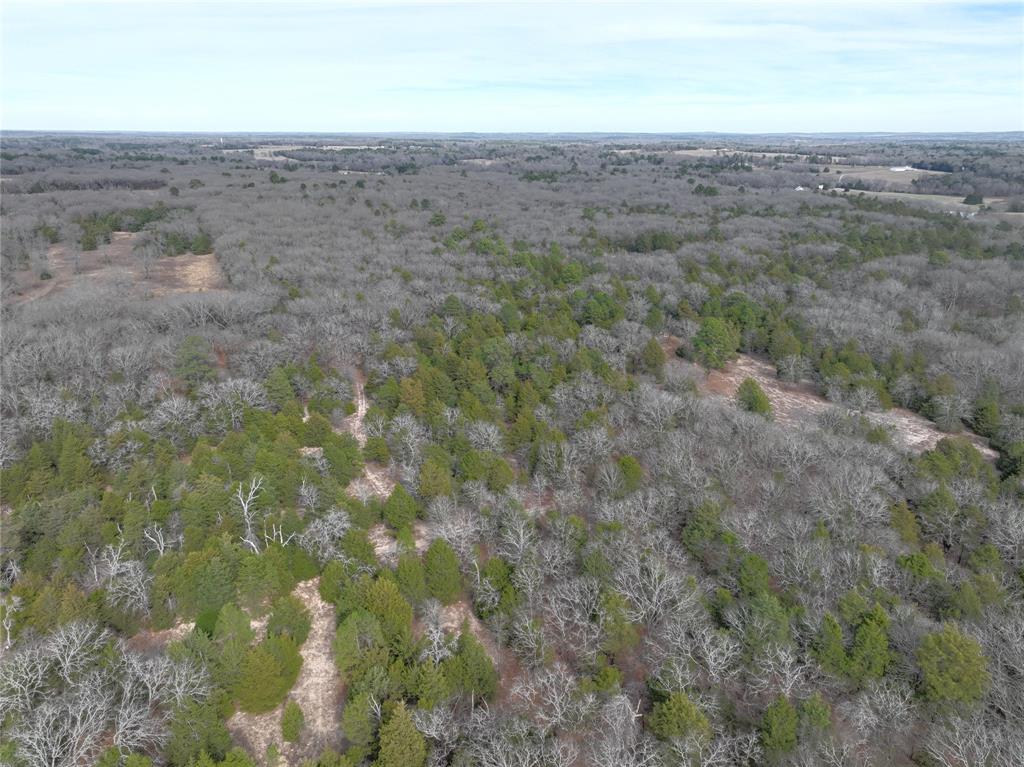 154 Quitman Tx 75783 Quitman, TX 75783 - Photo 26 of 33 a view of outdoor space and yard