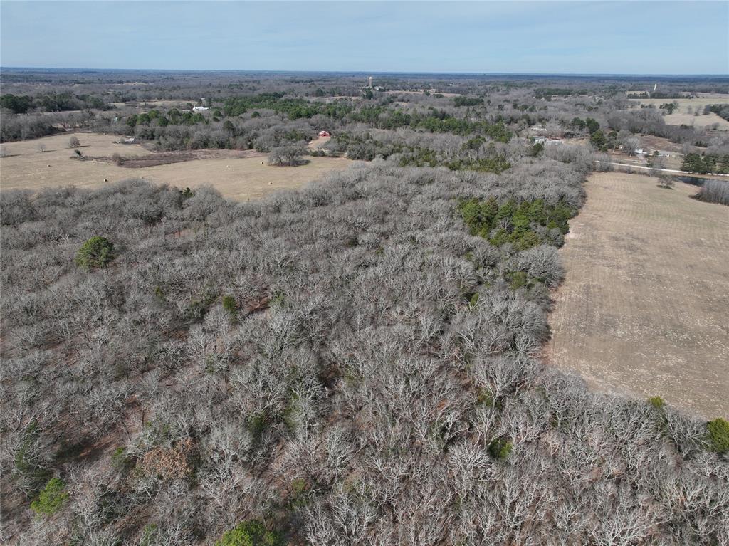 154 Quitman Tx 75783 Quitman, TX 75783 - Photo 27 of 33 an aerial view of forest