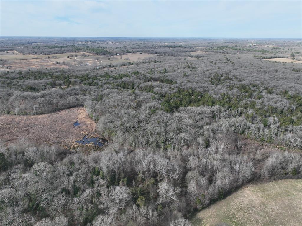 154 Quitman Tx 75783 Quitman, TX 75783 - Photo 29 of 33 an aerial view of beach and yard