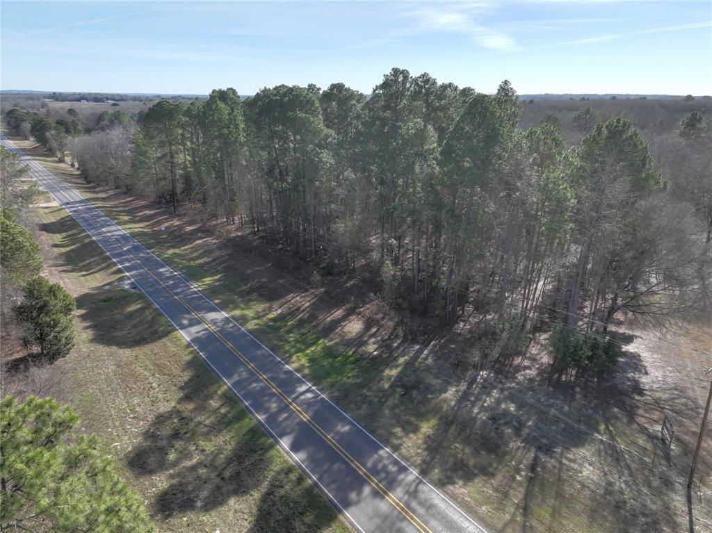 154 Quitman Tx 75783 Quitman, TX 75783 - Photo 5 of 33 a view of a forest with trees