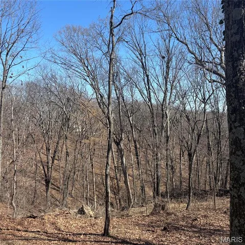 $75,000 | 7350 Deborah Lane, Hillsboro, MO 63050