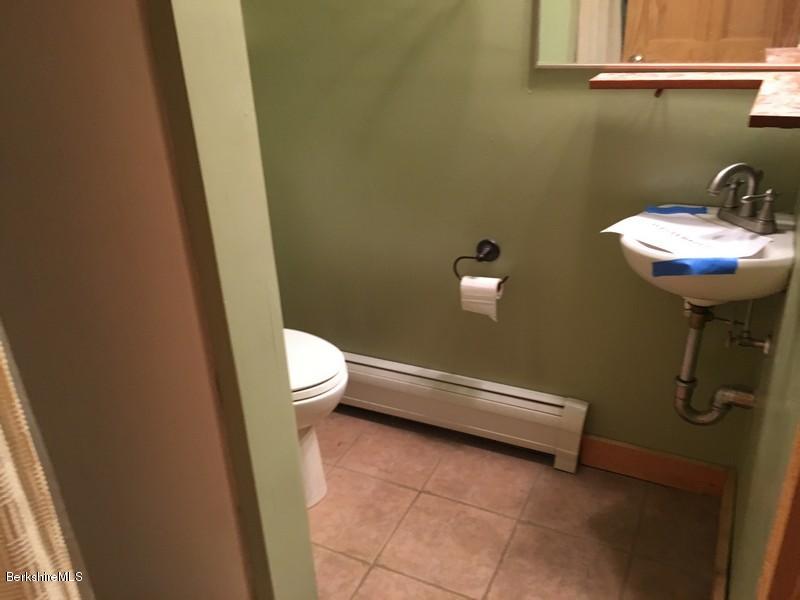 75 Hickingbotham Road Peru, MA 01235 - Photo 26 of 32 a bathroom with a sink a toilet and a shower