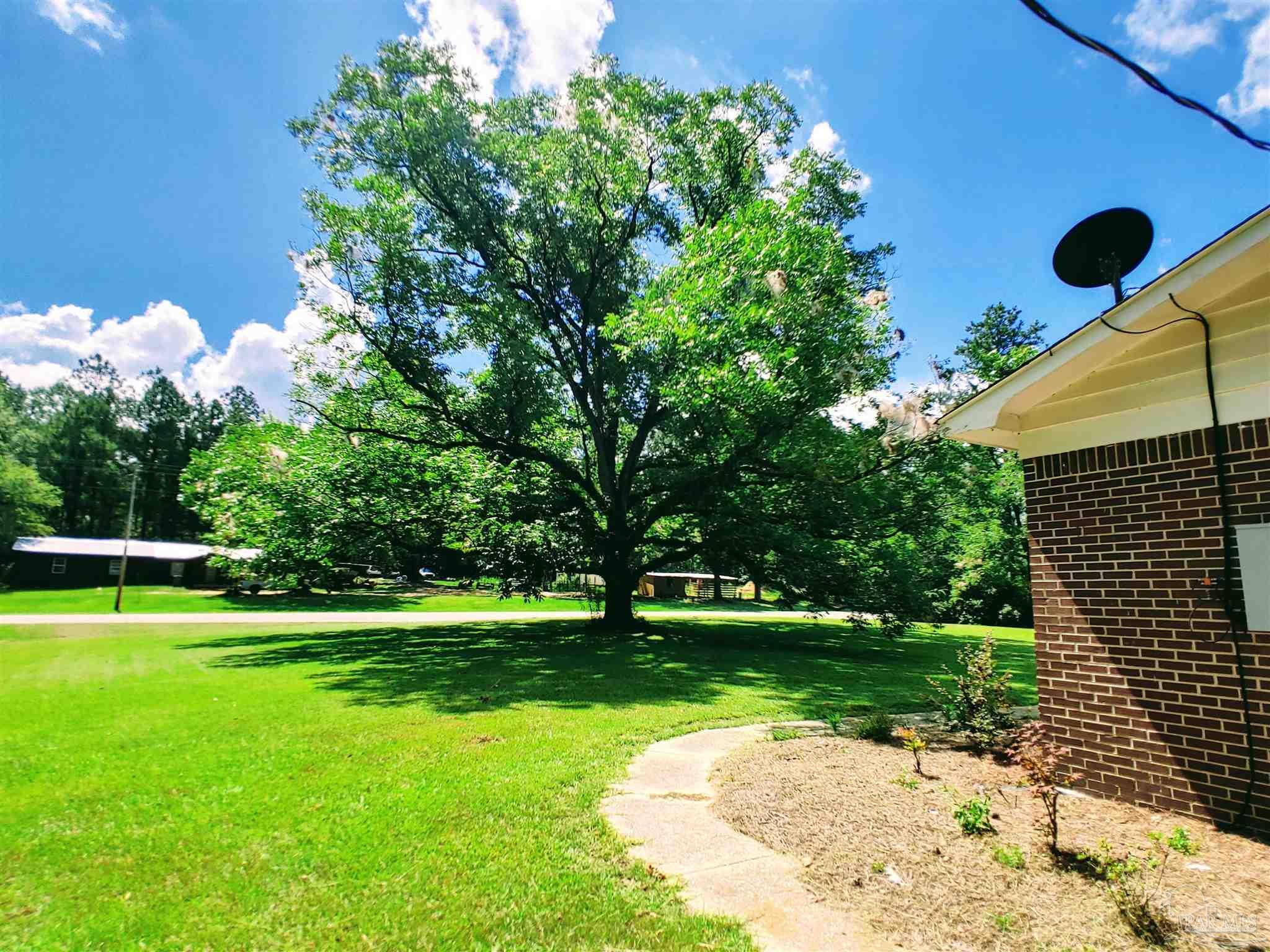 2934 Barlow Road Millry, AL 36558 - Photo 46 of 49
