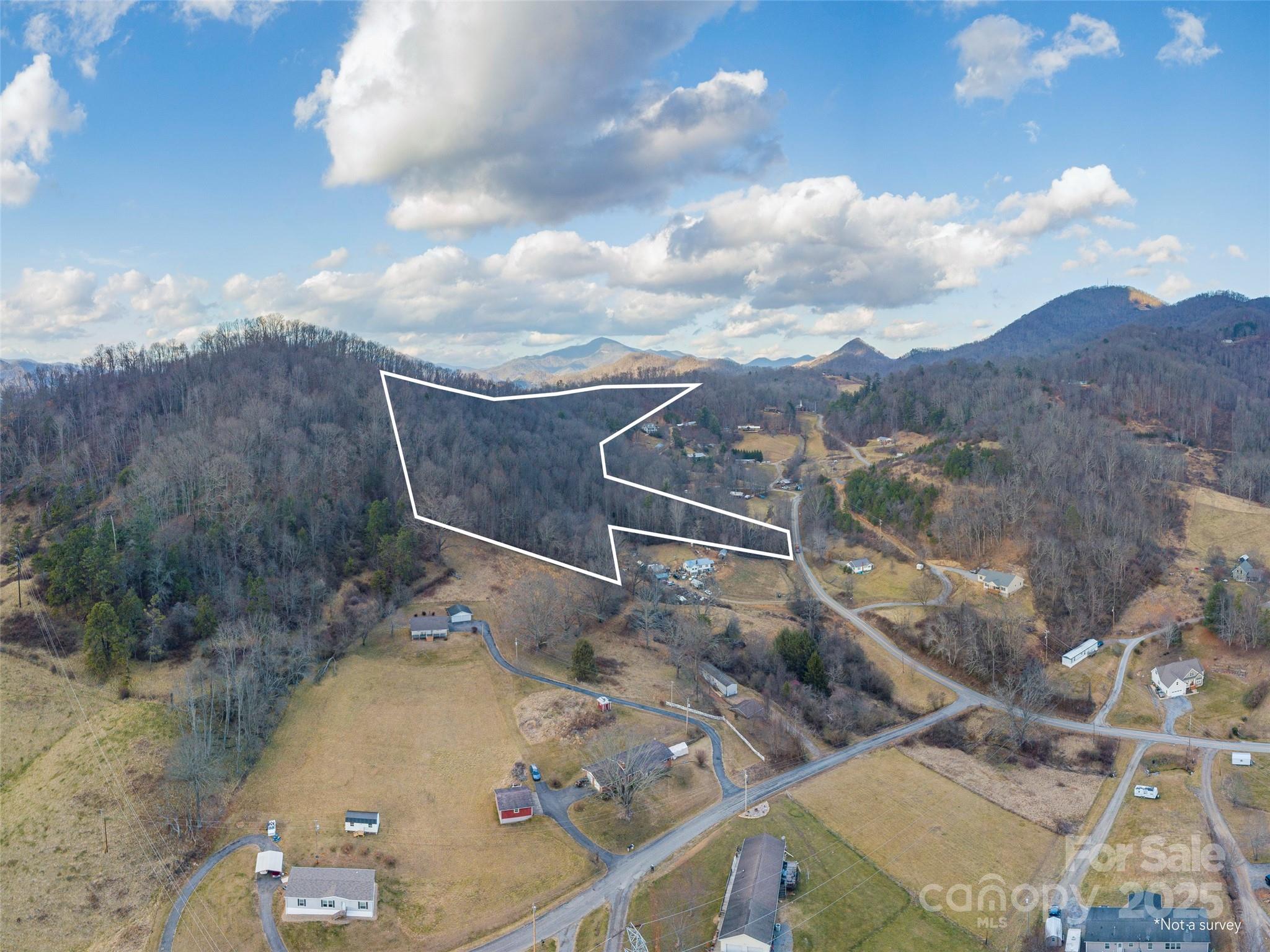 0 Hyder Mountain Road Clyde, NC 28721 - Photo 4 of 6