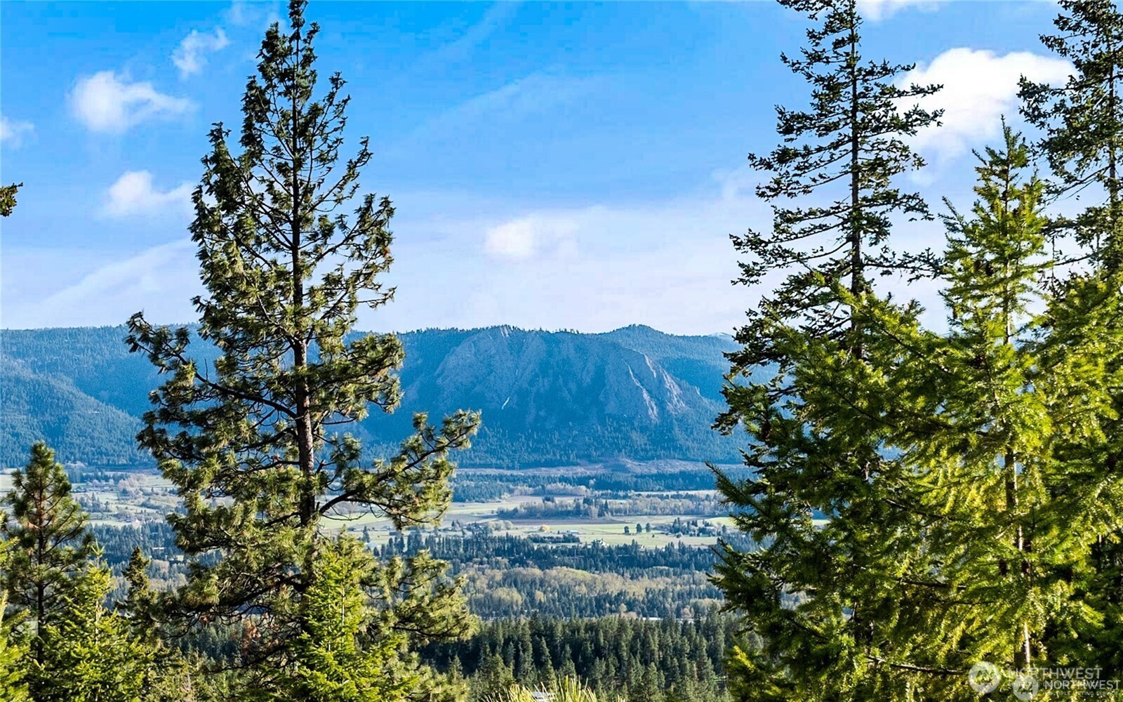 37 Frst Rdg Drive Cle Elum, WA 98922 - Photo 4 of 28