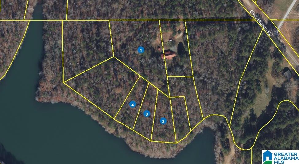 0 Olive Branch Road, Unit 25 Ashland, AL 36251 - Photo 6 of 15
