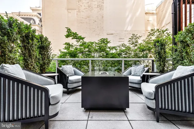a backyard of a house with plants and large tree