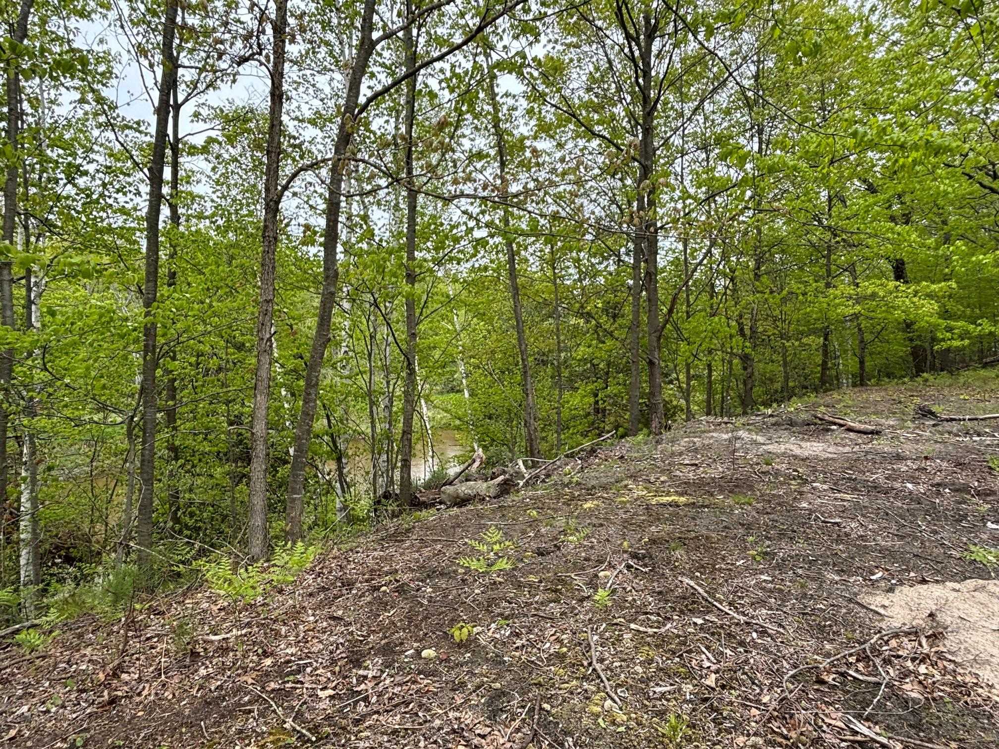 1240 Birch Ridge Road Gladwin, MI 48624 - Photo 24 of 41