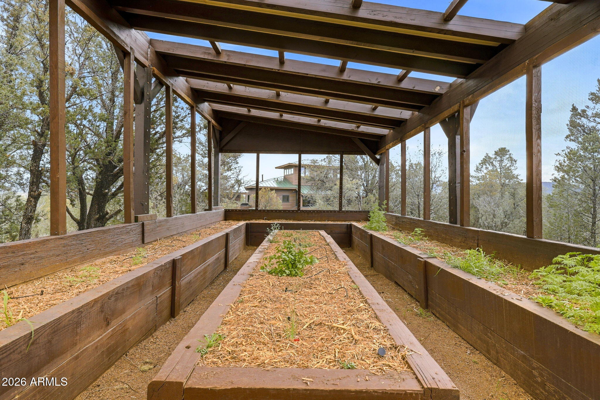 84 Mail Trail Road Young, AZ 85554 - Photo 36 of 57 Greenhs Int