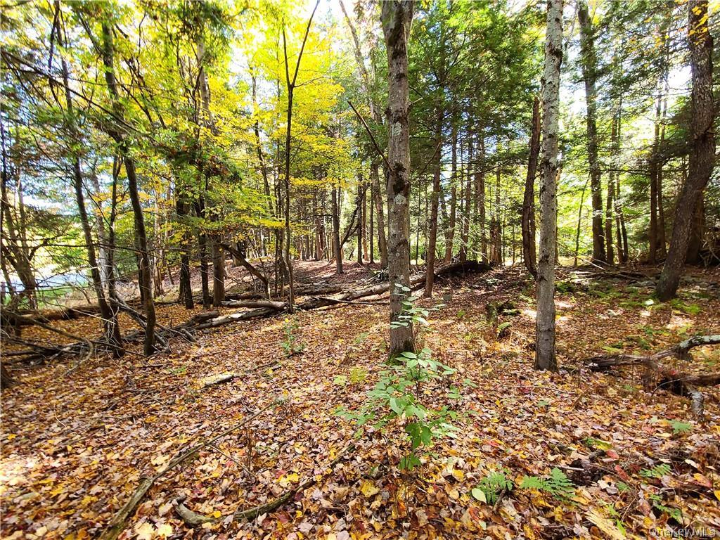 Lot 5.4 Kaufman Road Monticello, NY 12701 - Photo 44 of 45