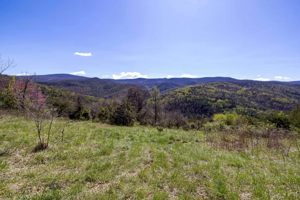 a view of a lush green hillside and a mountain