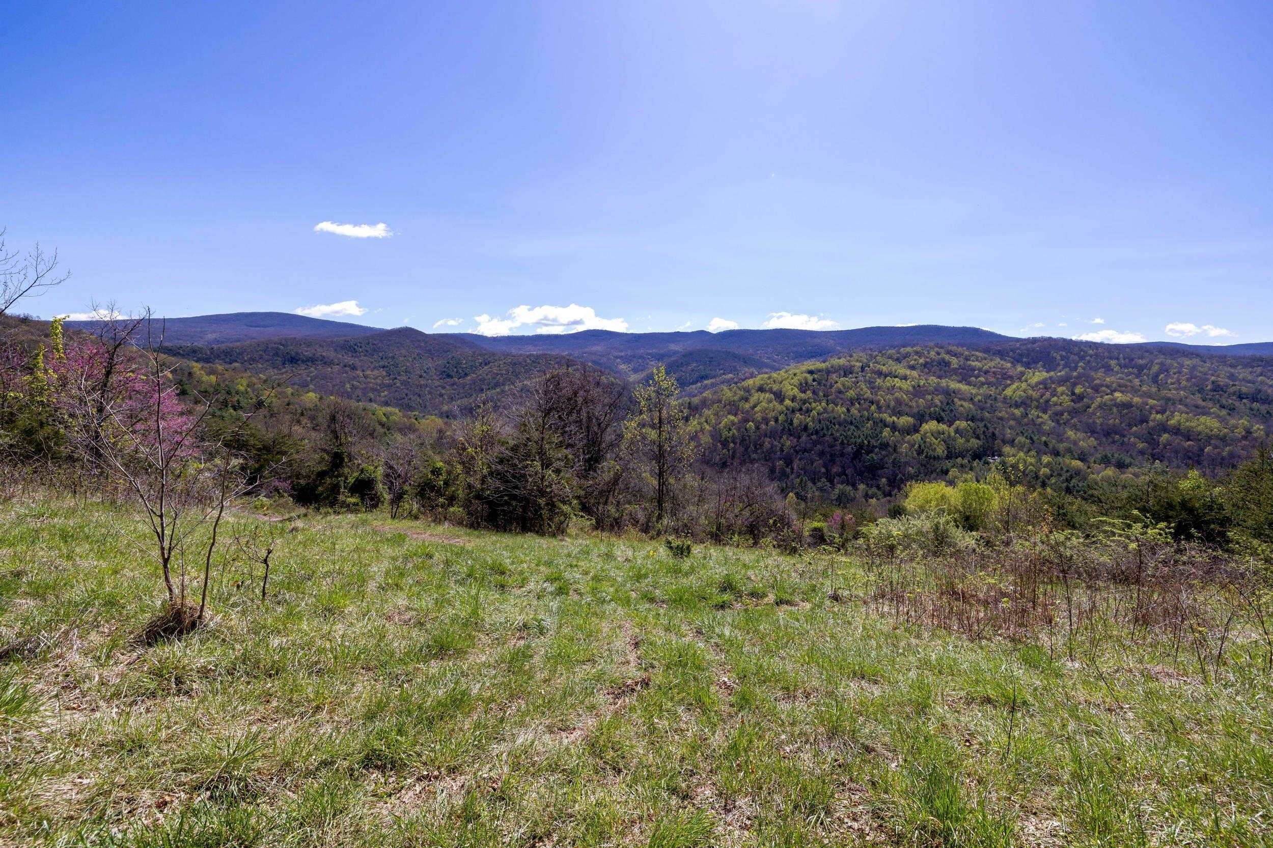 a view of a lush green hillside and a mountain