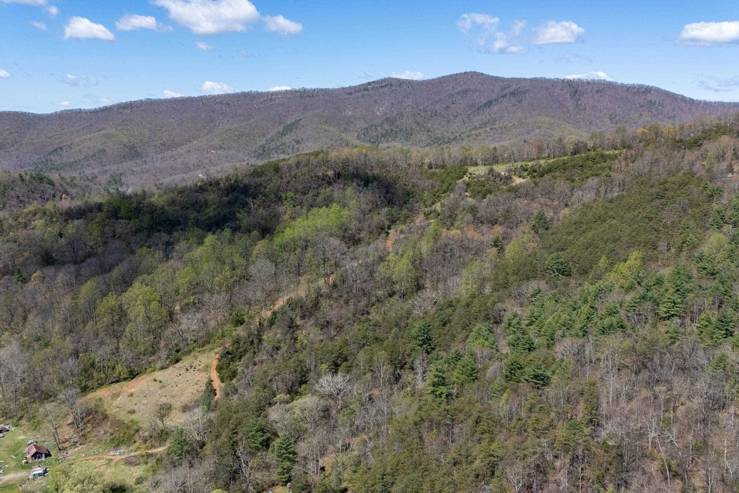 Off Jollett Road Elkton, VA 22827 - Photo 12 of 65 a view of a mountain range with trees