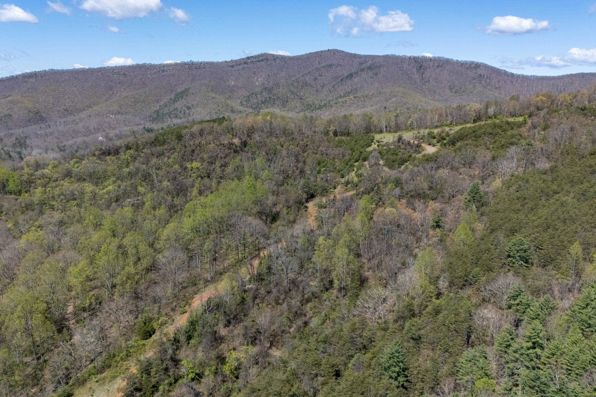 Off Jollett Road Elkton, VA 22827 - Photo 14 of 65 a view of a mountain range with trees