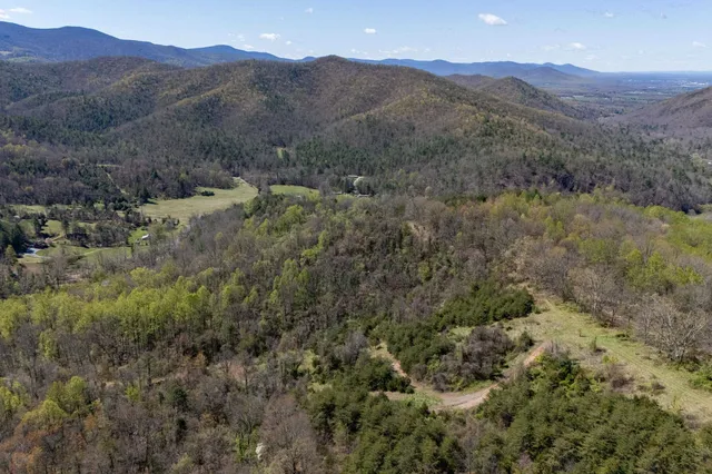 a view of a forest with mountains in the background