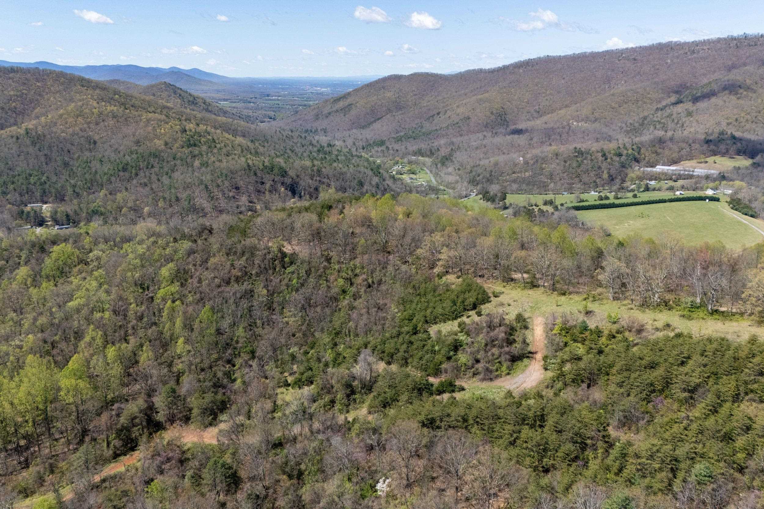 Off Jollett Road Elkton, VA 22827 - Photo 18 of 65 a view of a lake in middle of the forest