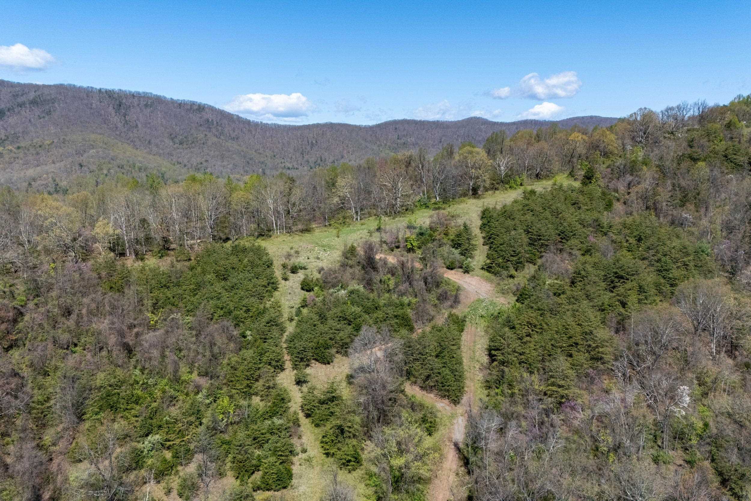 Off Jollett Road Elkton, VA 22827 - Photo 20 of 65 a view of a forest with mountains in the background