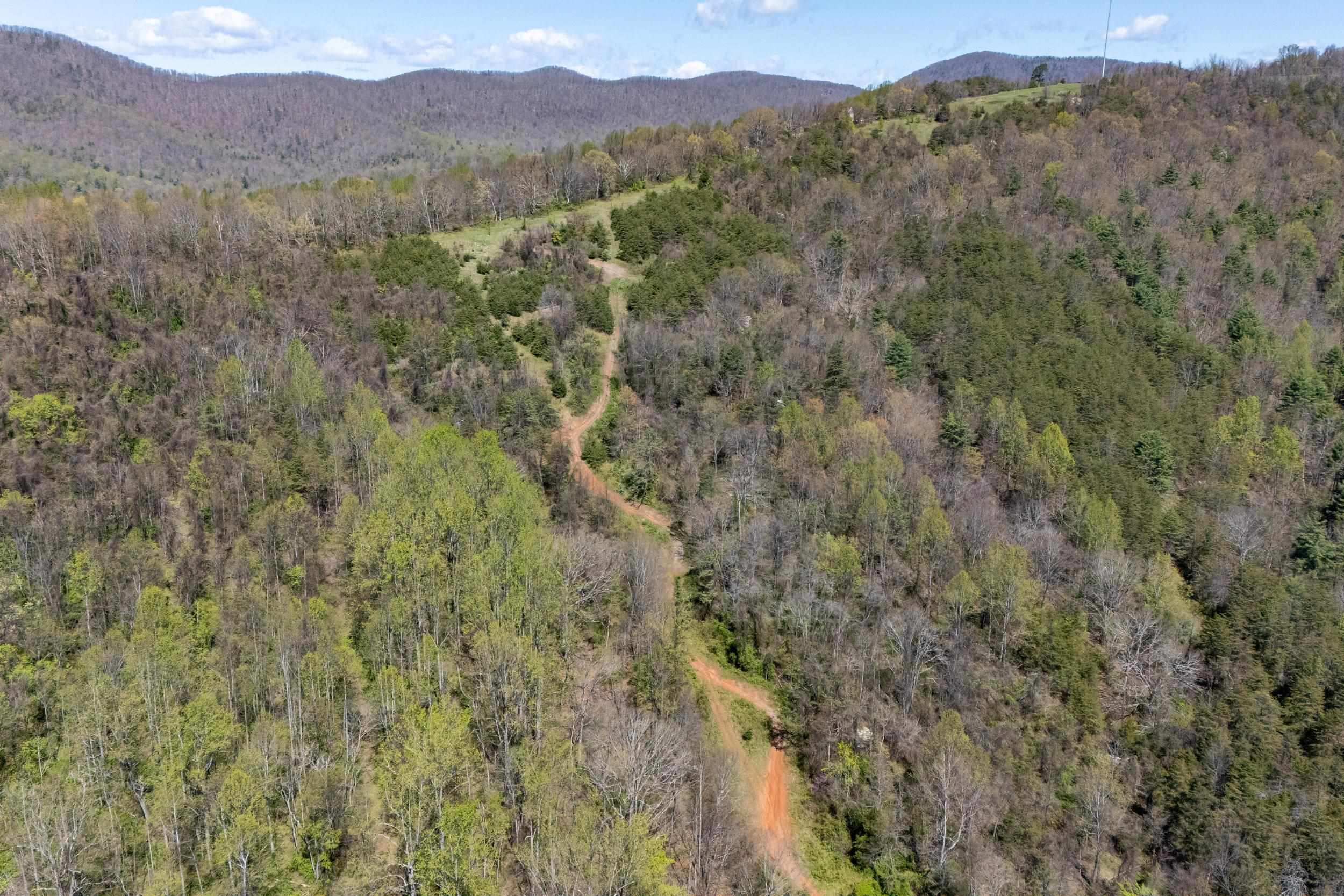 Off Jollett Road Elkton, VA 22827 - Photo 26 of 65 a view of a lush green forest with trees in the background