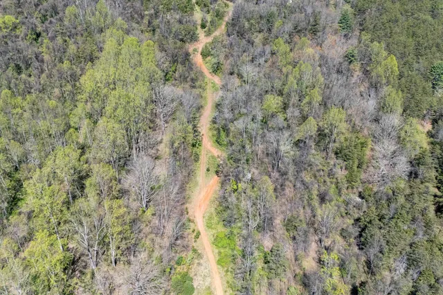 a view of a lush green hillside and a houses