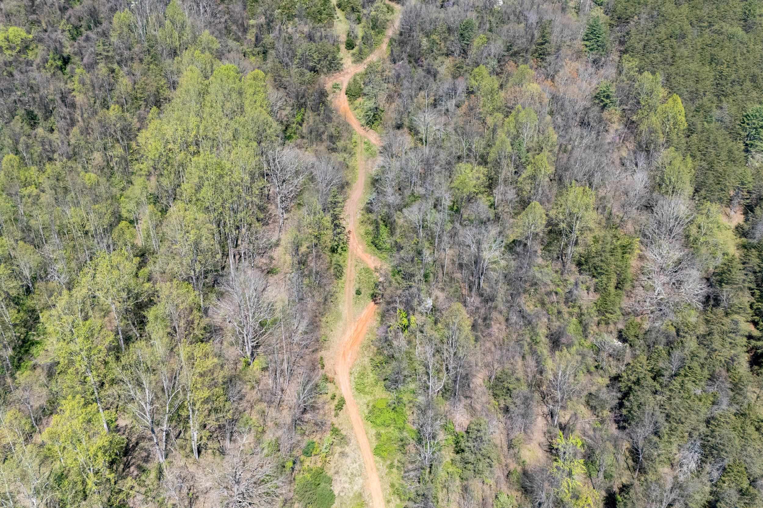 Off Jollett Road Elkton, VA 22827 - Photo 27 of 65