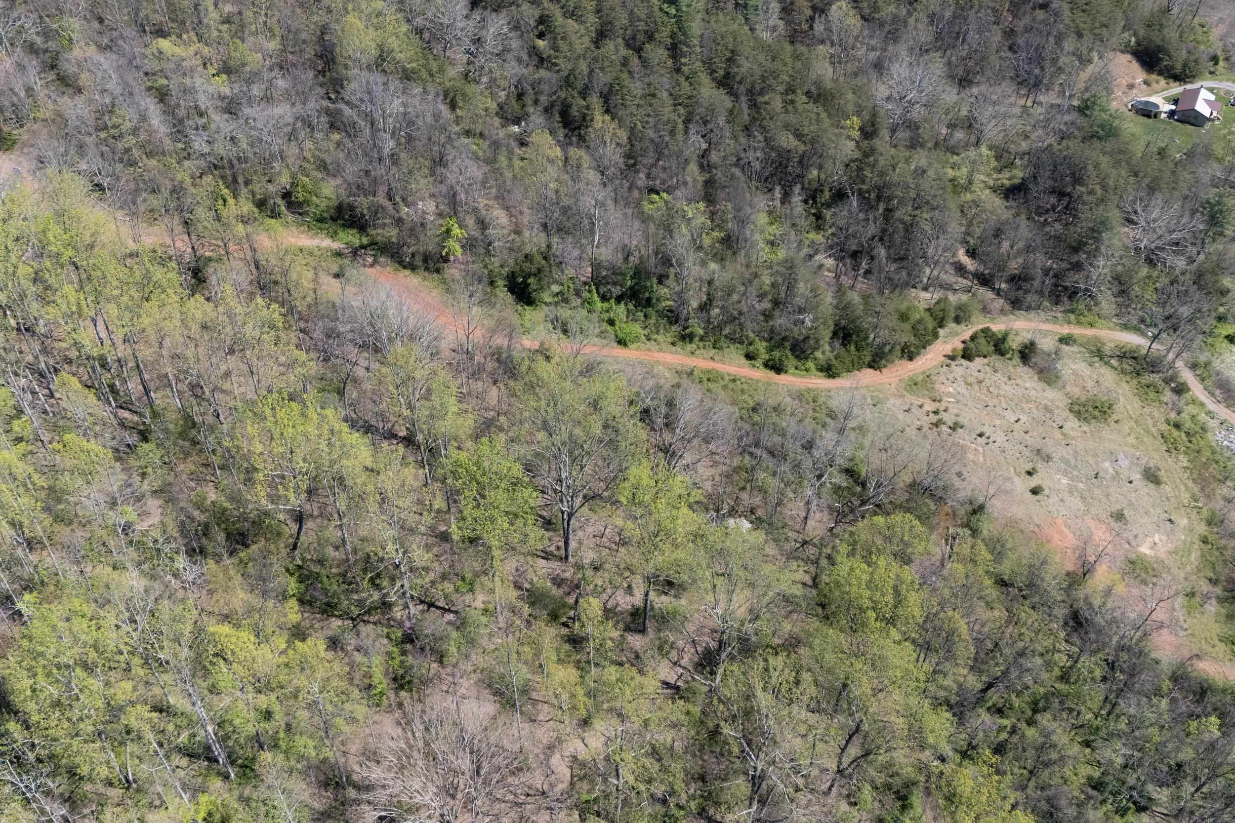 Off Jollett Road Elkton, VA 22827 - Photo 29 of 65 a view of a forest with trees in the background
