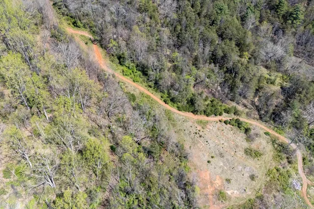 a view of a pathway both side of green field