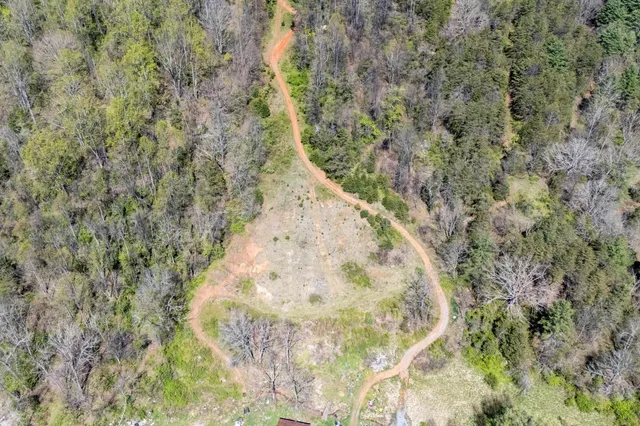 a view of a yard with a tree