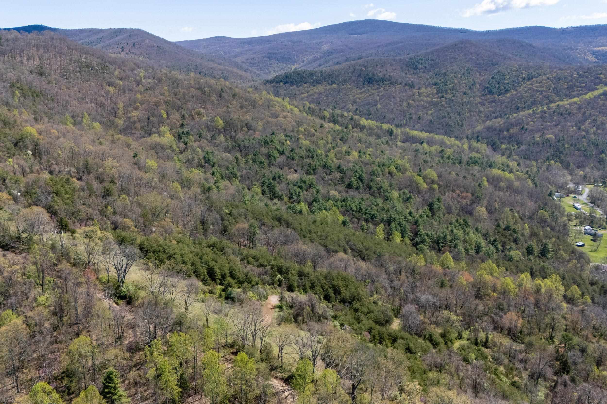 Off Jollett Road Elkton, VA 22827 - Photo 32 of 65 a view of a lush green hillside and a mountain