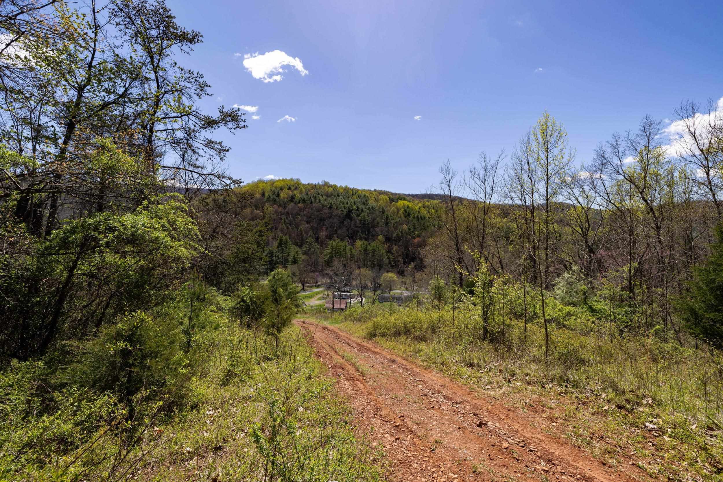 Off Jollett Road Elkton, VA 22827 - Photo 37 of 65 a view of a yard with a tree