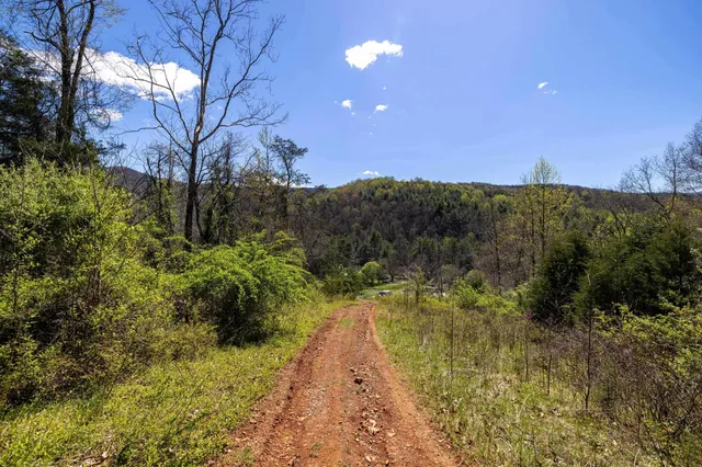 a view of backyard with green space
