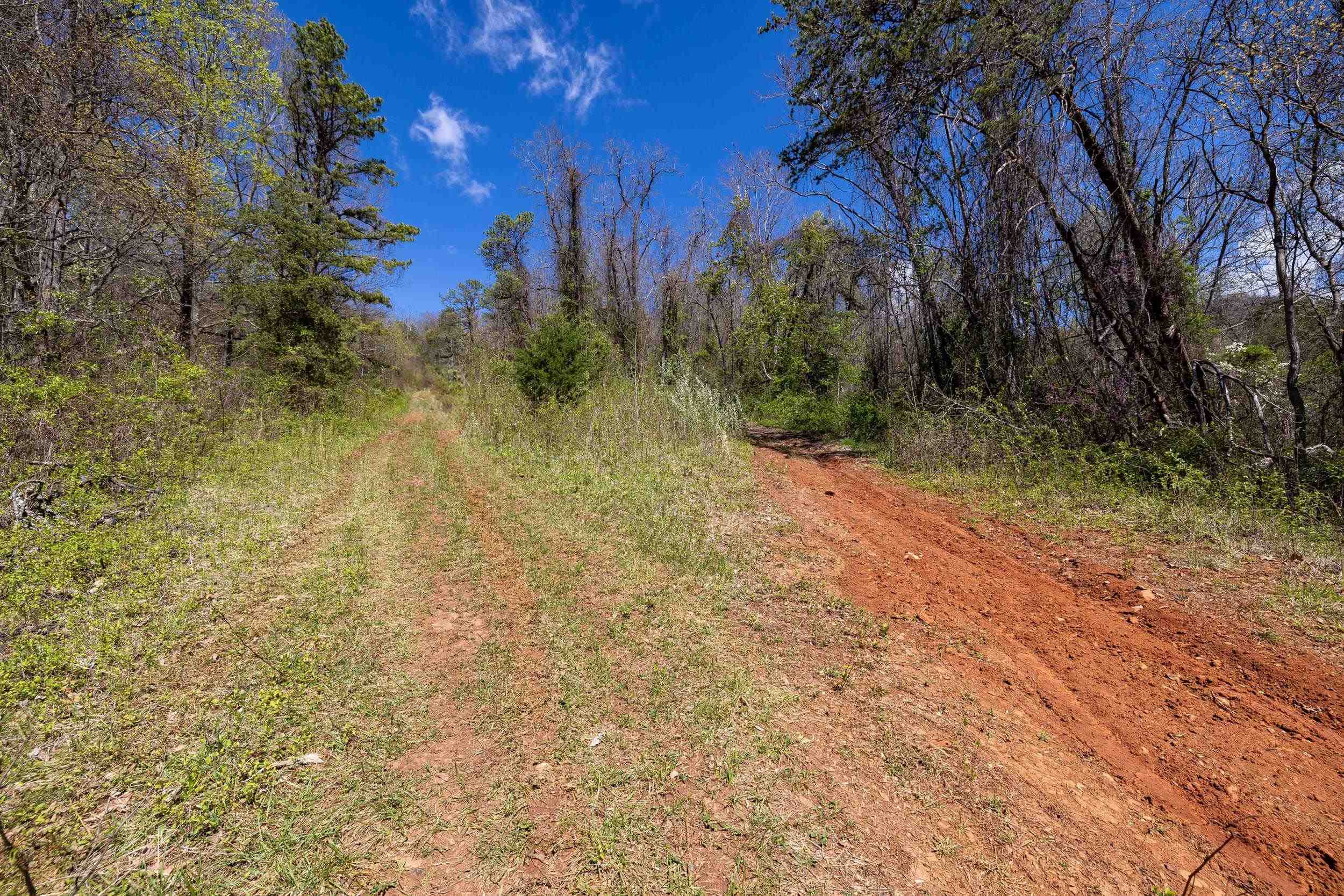 Off Jollett Road Elkton, VA 22827 - Photo 40 of 65 a view of a yard with a tree