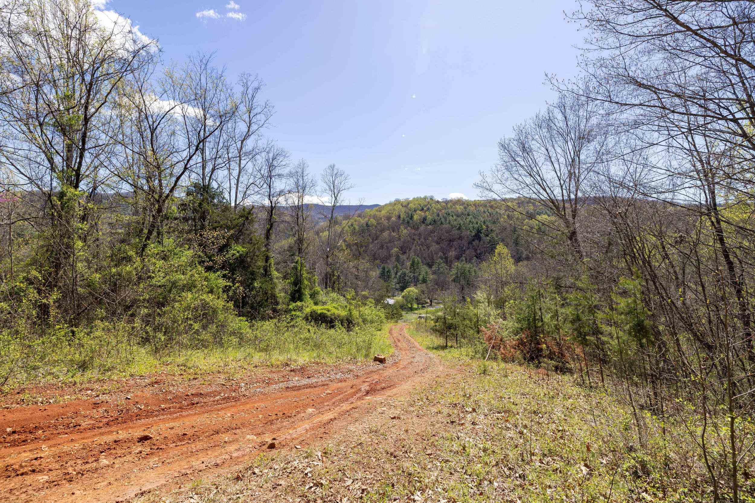Off Jollett Road Elkton, VA 22827 - Photo 41 of 65 a view of a yard with a tree
