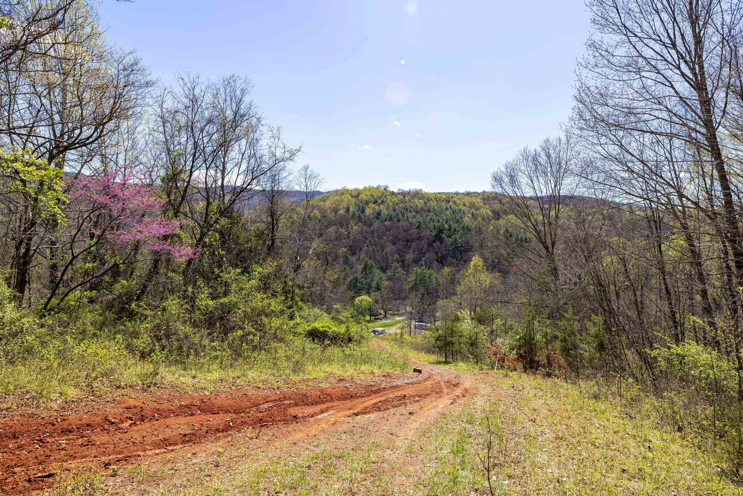 Off Jollett Road Elkton, VA 22827 - Photo 42 of 65 a view of a yard with a tree
