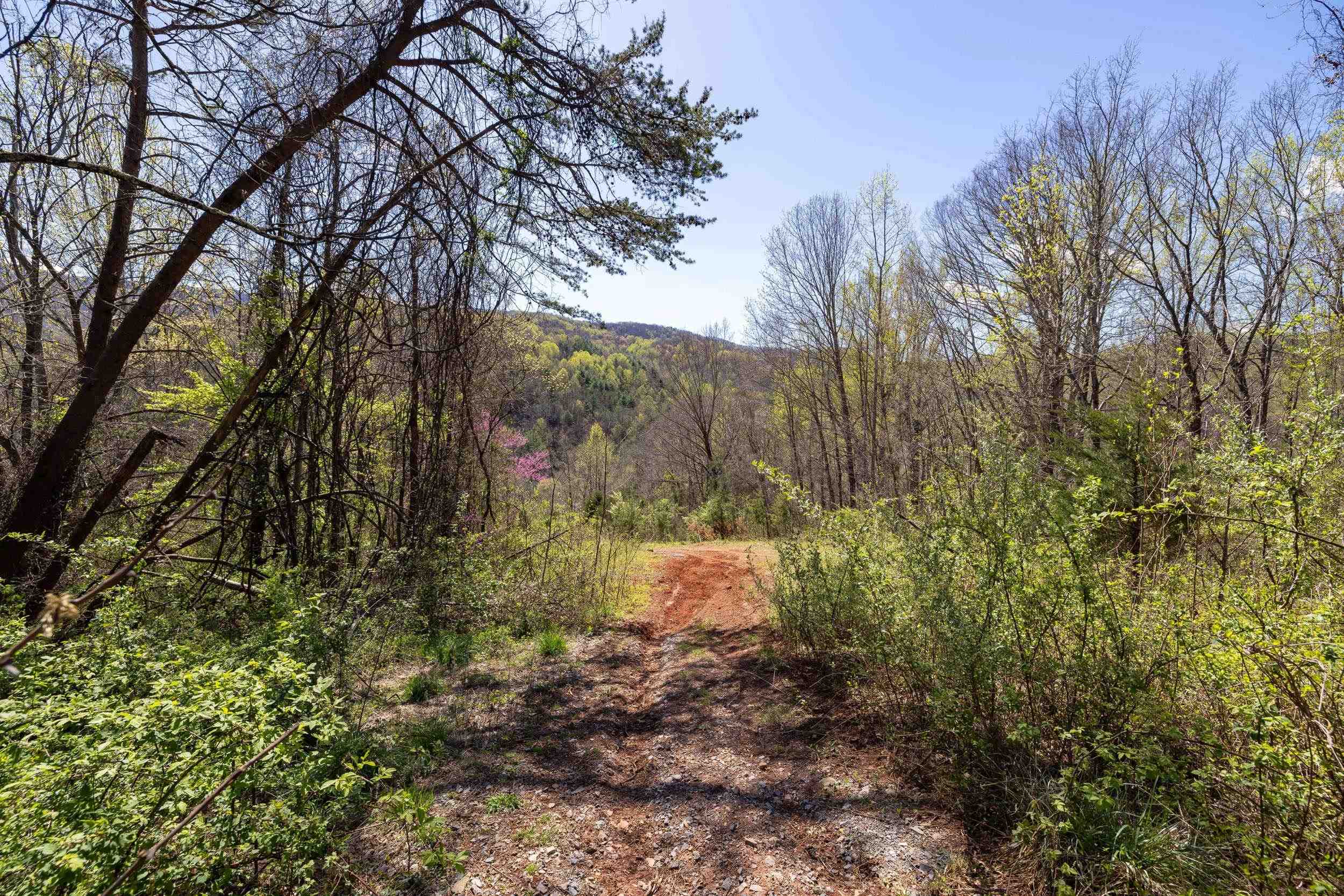 Off Jollett Road Elkton, VA 22827 - Photo 44 of 65